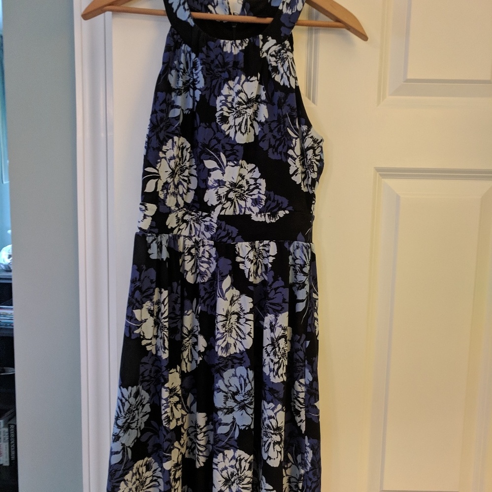 Banana Republic Dress (size 2)
